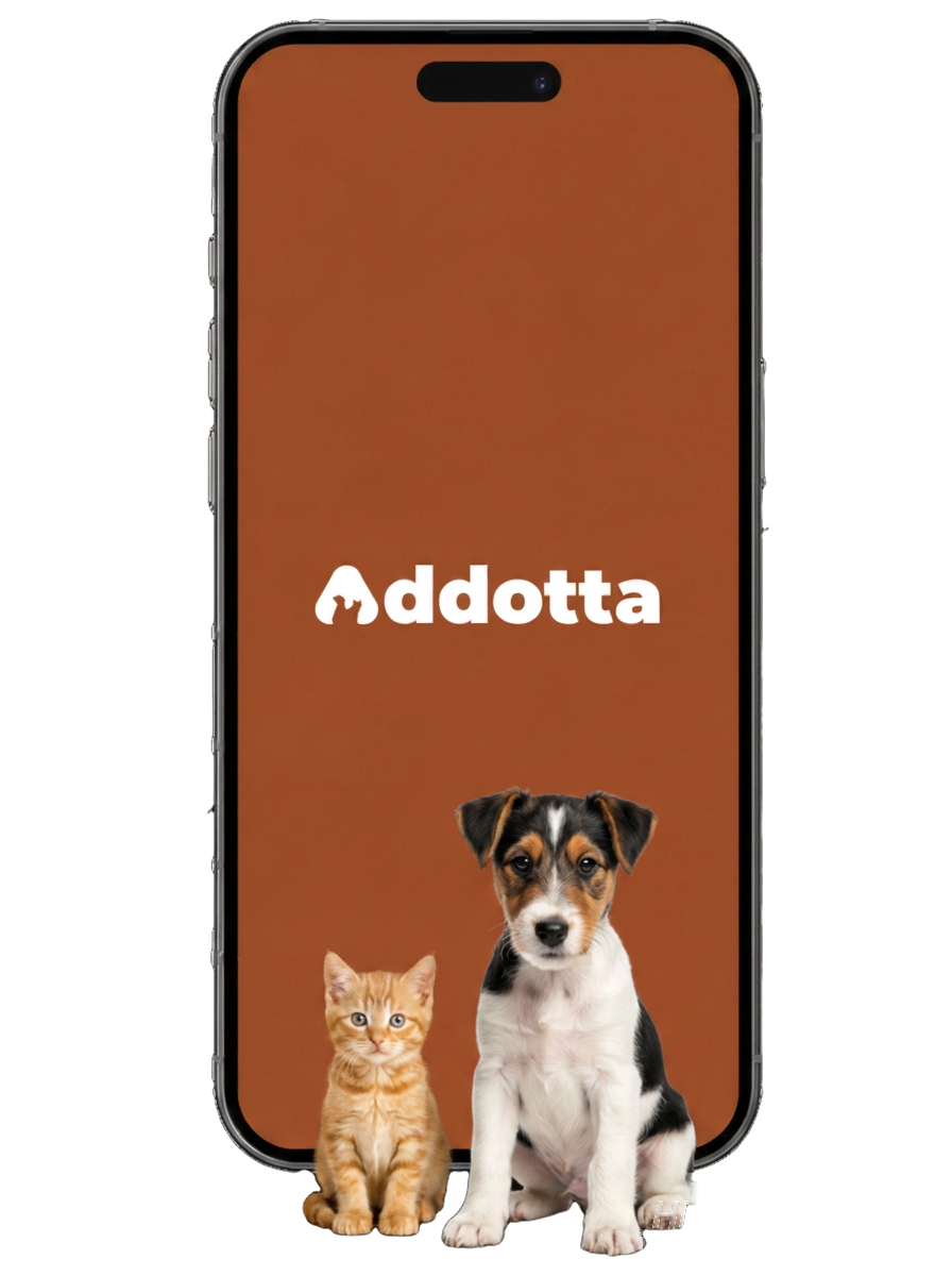 Puppy and kitten beside a phone showing the Addotta app